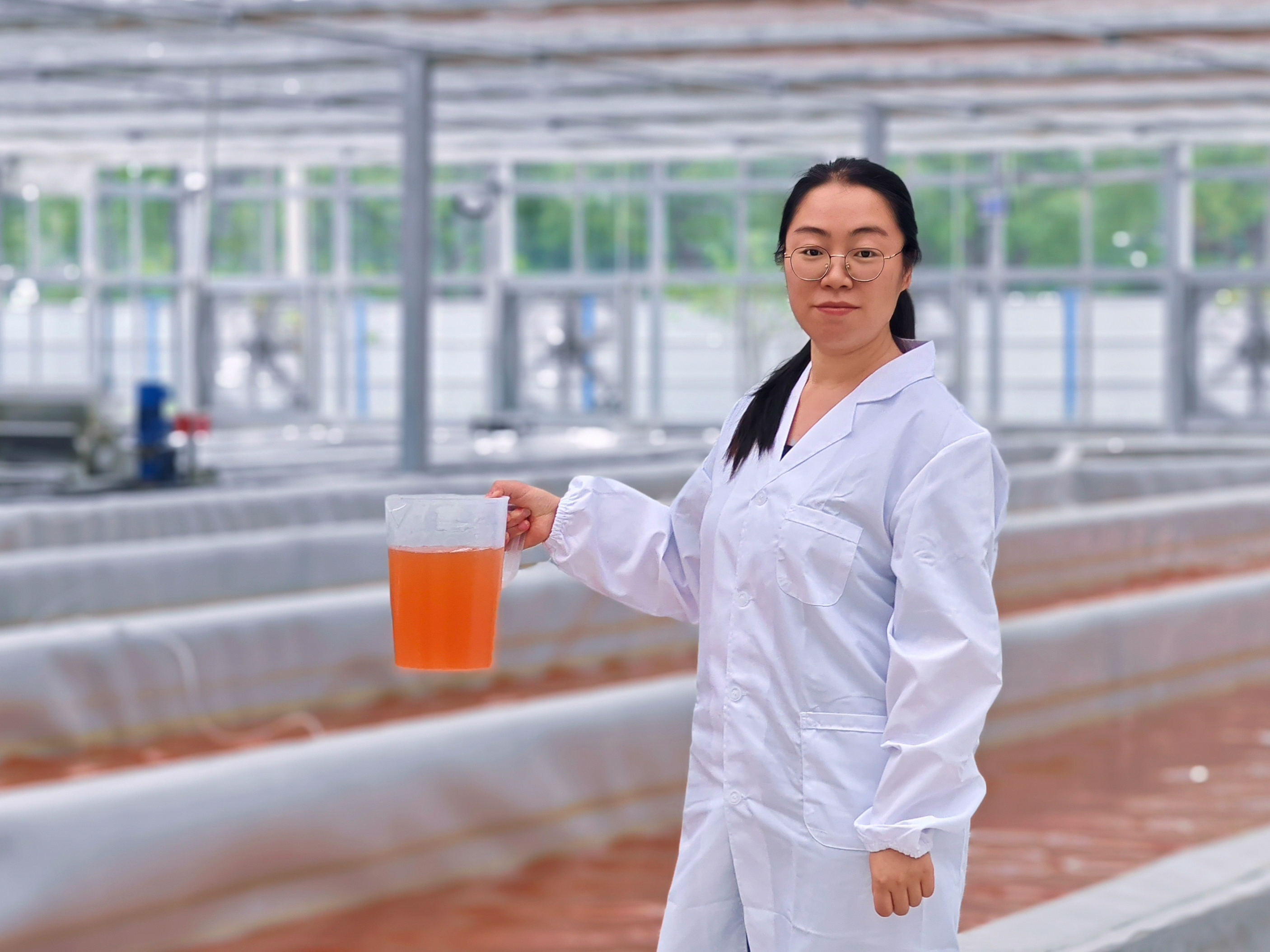 Dr. Nancy Xu in greenhouse with algae sample